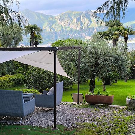 Villa Riva Lago - Apartment With Parking Tavernola Bergamasca Eksteriør bilde
